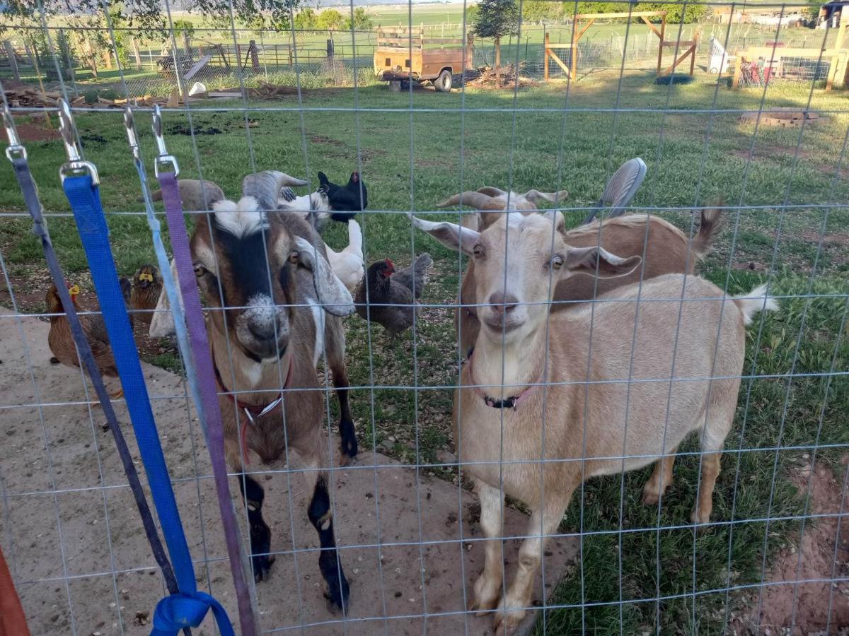 Red Creek Inn And Farm Parowan Εξωτερικό φωτογραφία